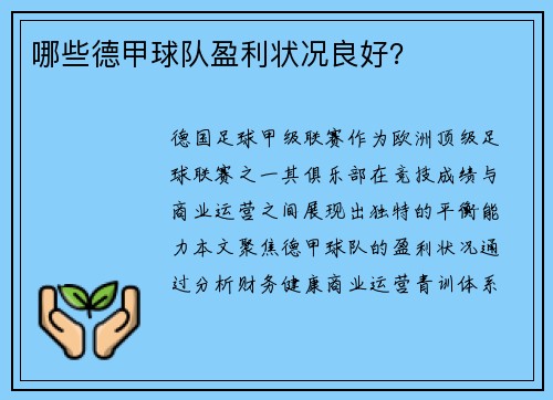 哪些德甲球队盈利状况良好？